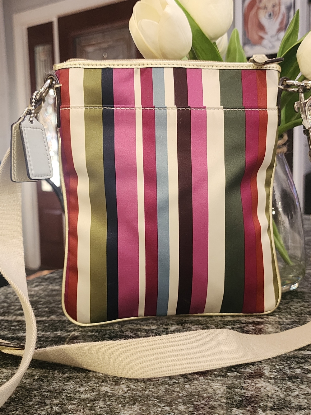 Coach Legagy Multicolor Striped North/South Crossbody Bag - Gold Trim-7×8 - Picture 2 of 8